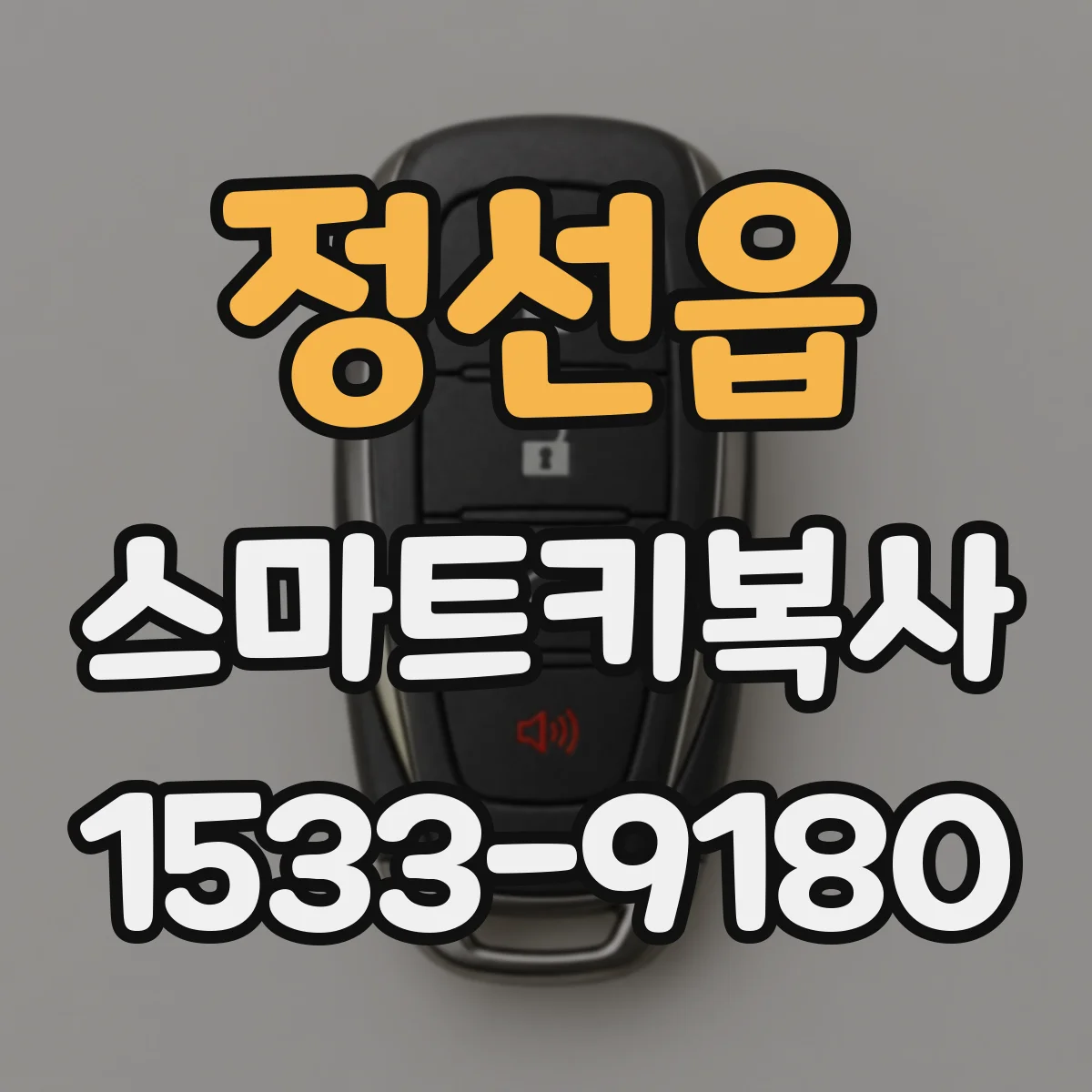 정선읍 스마트키복사