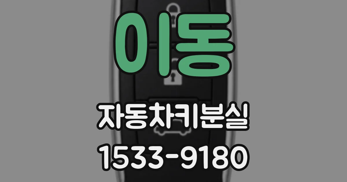 이동 자동차키분실