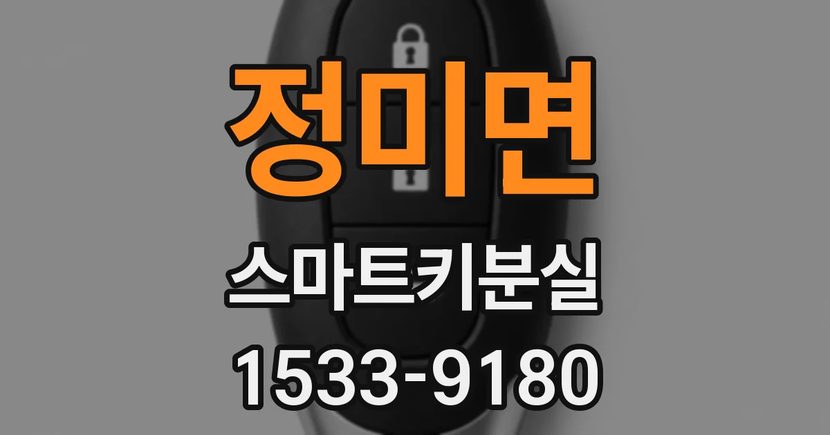 정미면 스마트키분실