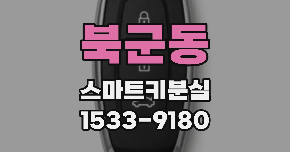 북군동 스마트키분실