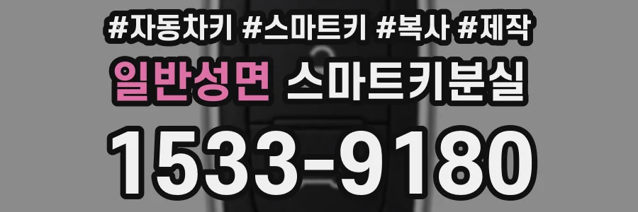 일반성면 스마트키분실