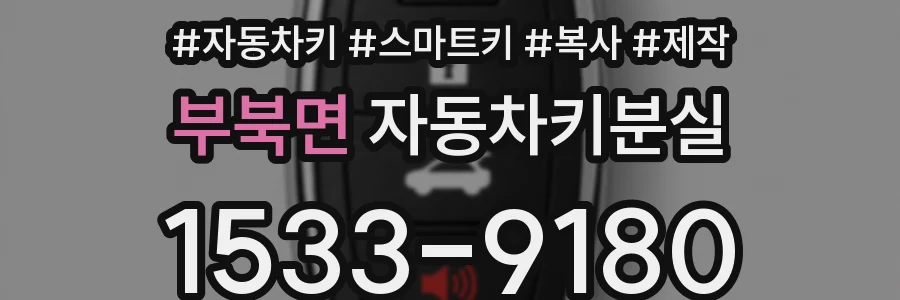 부북면 자동차키분실