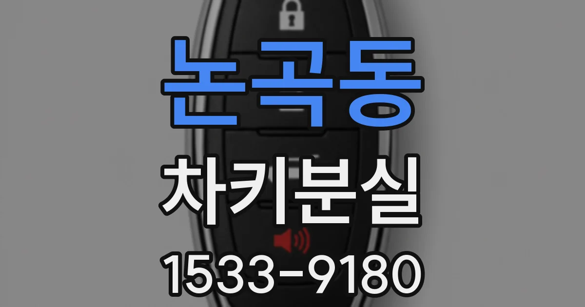 논곡동 차키분실
