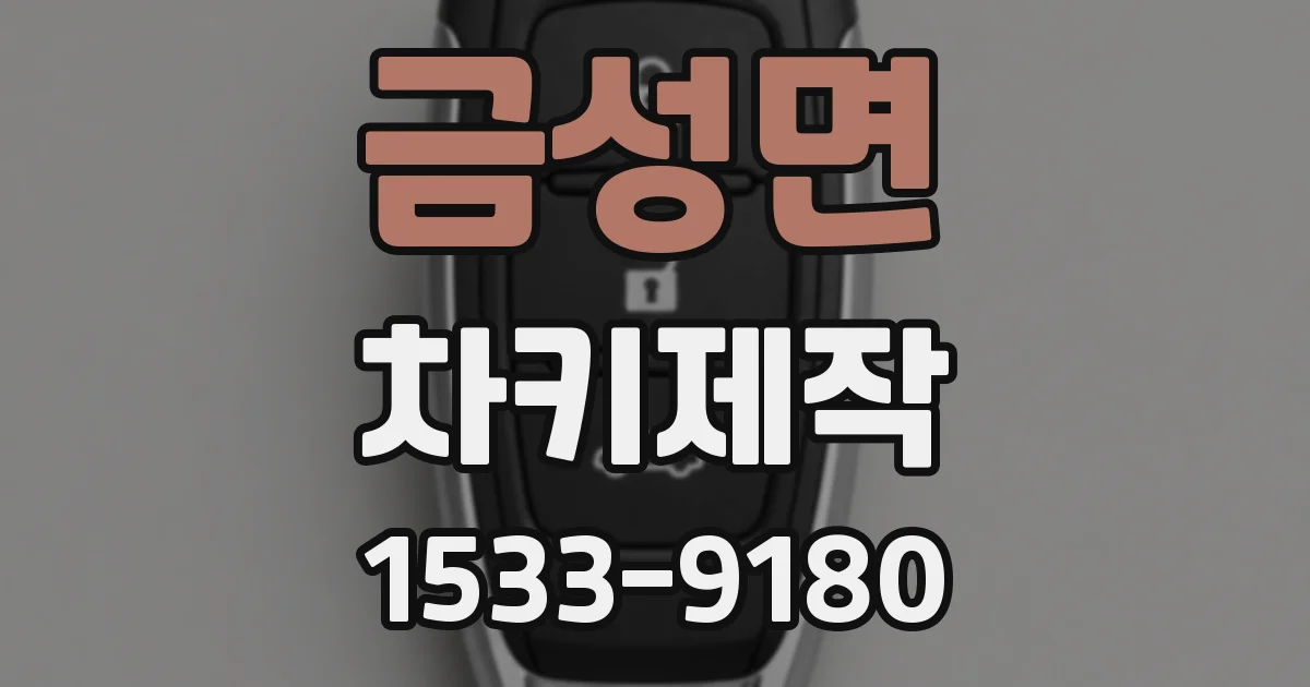 금성면 차키제작