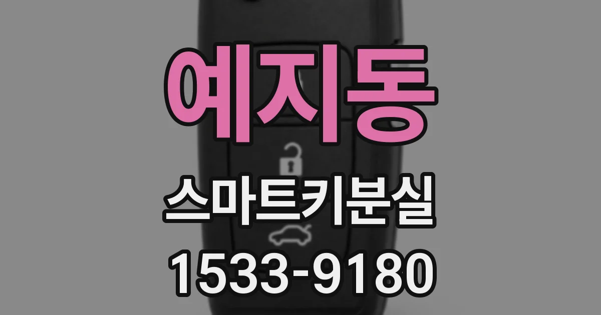예지동 스마트키분실
