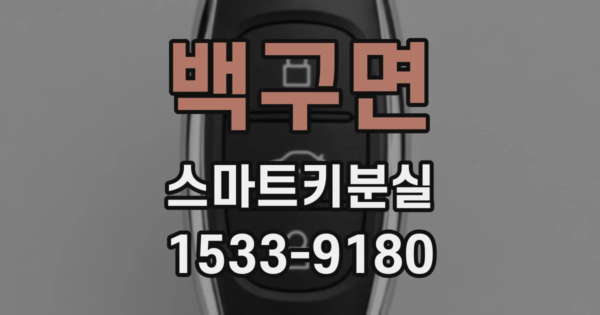 백구면 스마트키분실