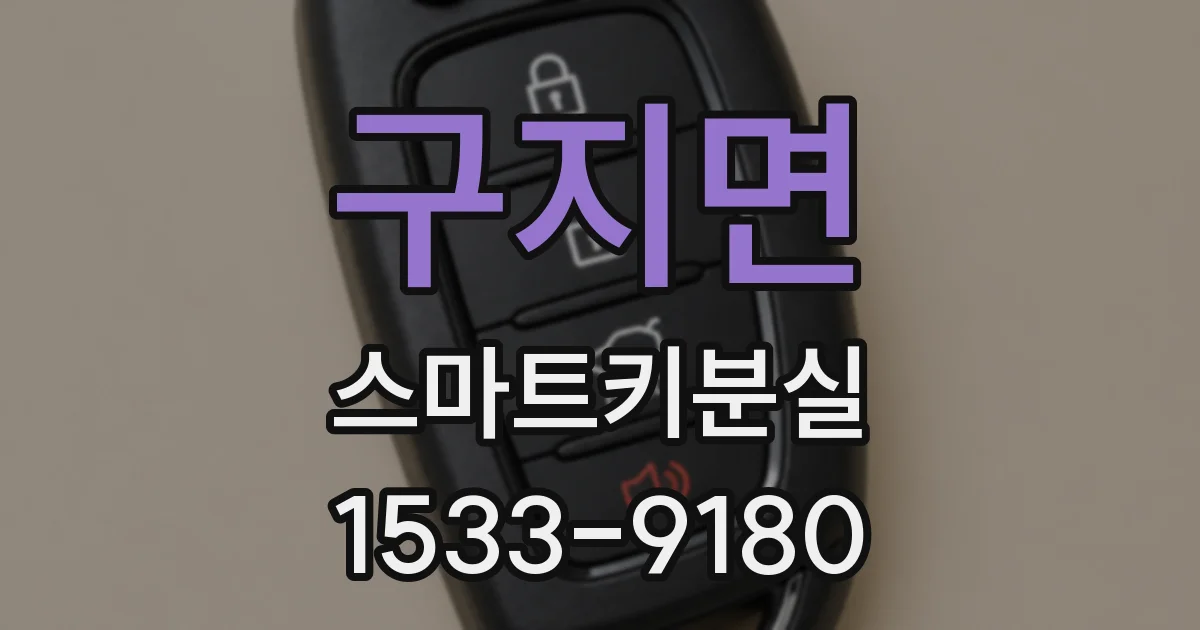 구지면 스마트키분실