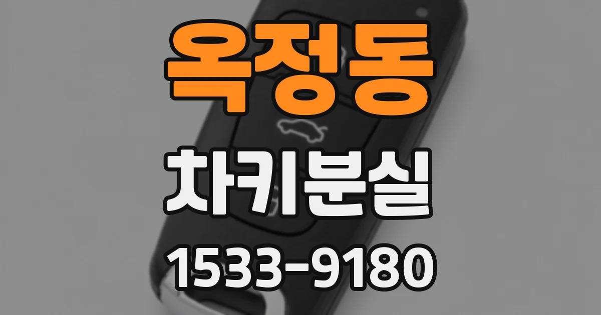 옥정동 차키분실