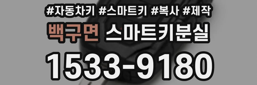 백구면 스마트키분실
