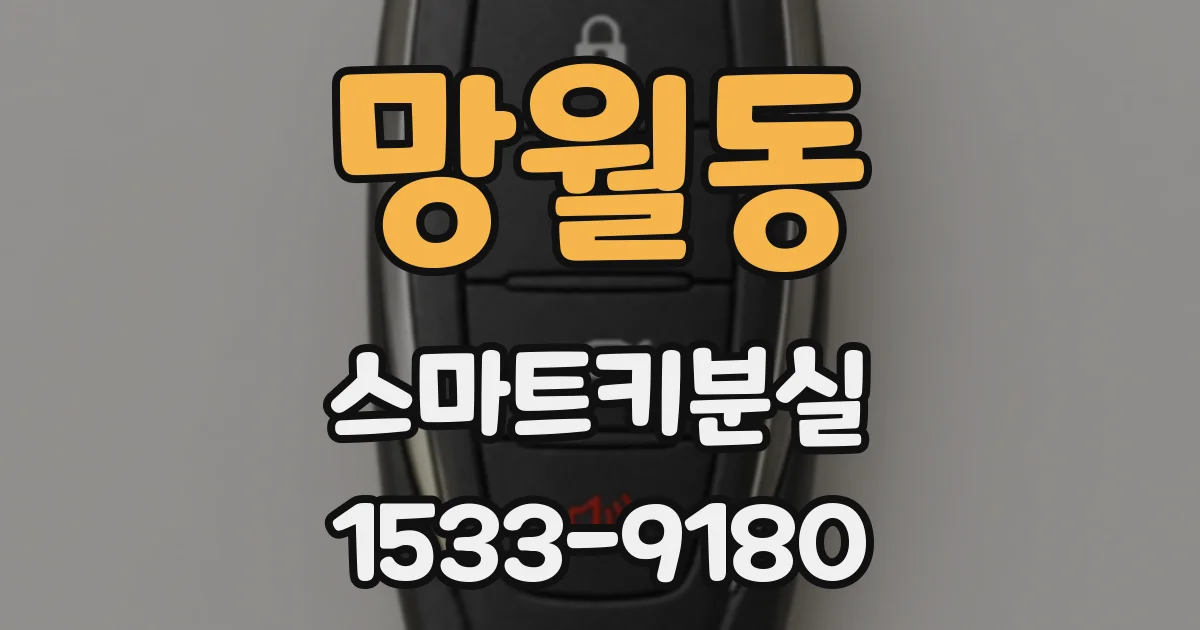 망월동 스마트키분실