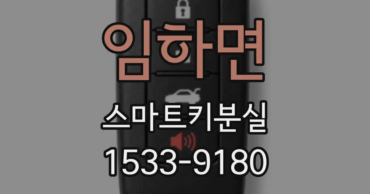 임하면 스마트키분실