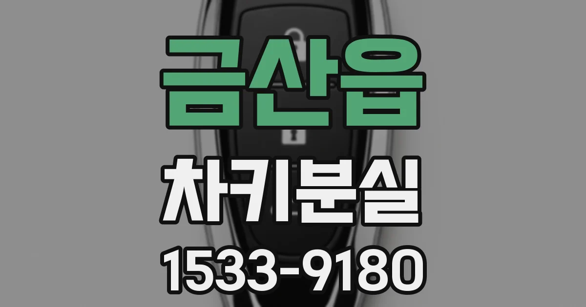 금산읍 차키분실