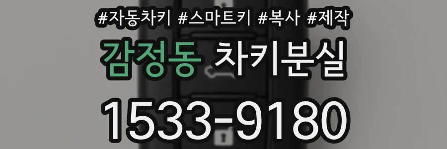 감정동 차키분실