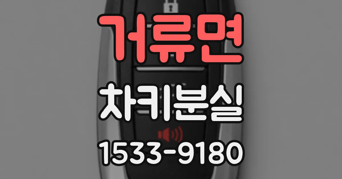 거류면 차키분실