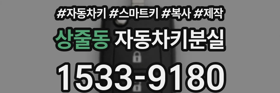 상줄동 자동차키분실