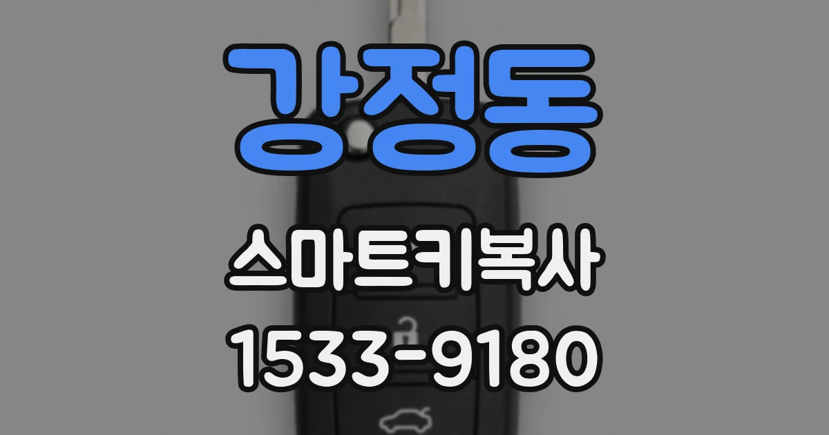 강정동 스마트키복사