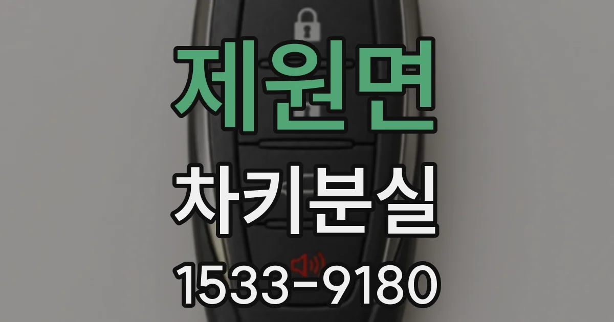 제원면 차키분실
