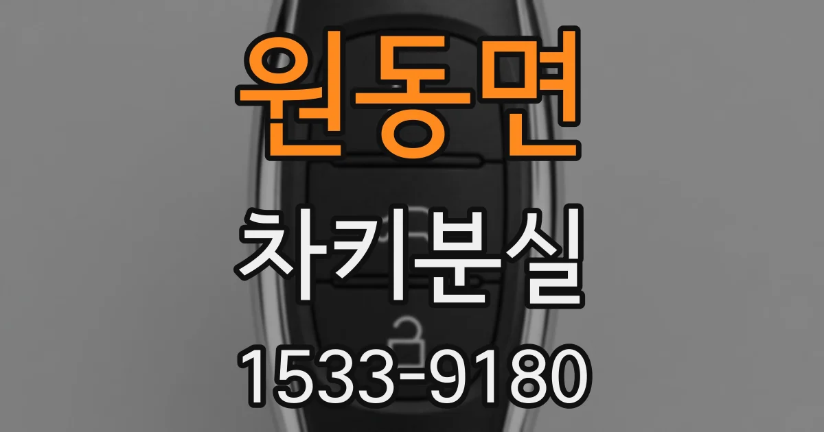 원동면 차키분실