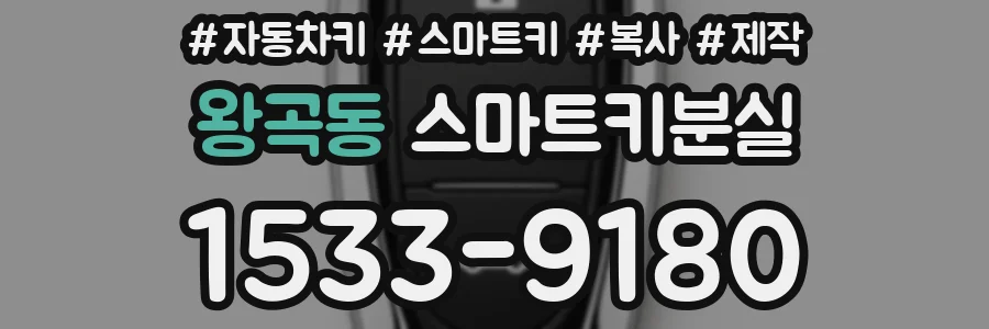 왕곡동 스마트키분실
