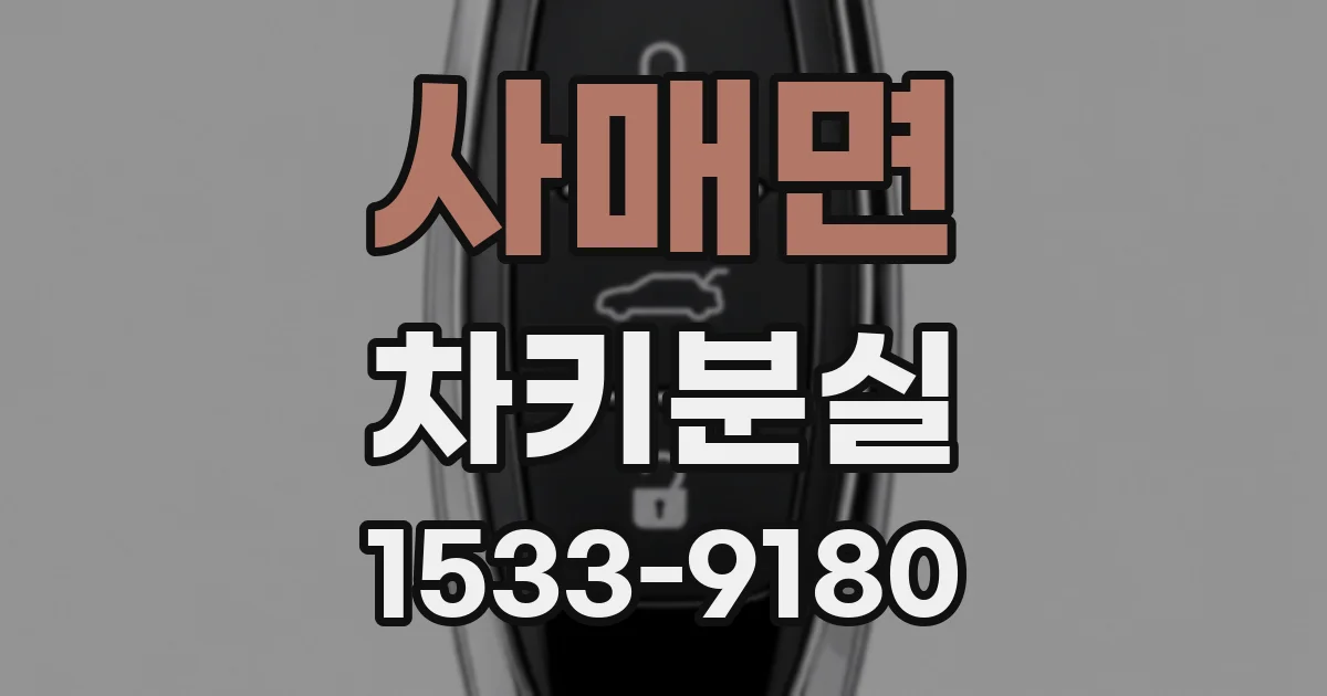 사매면 차키분실