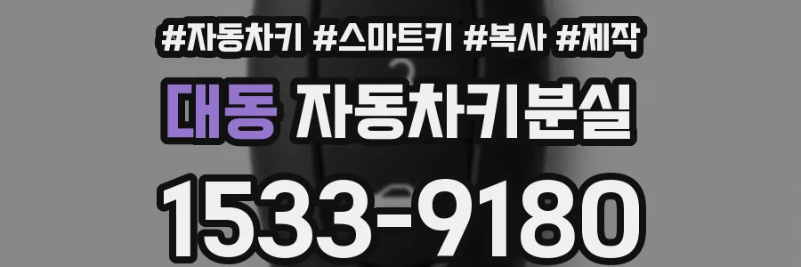 대동 자동차키분실