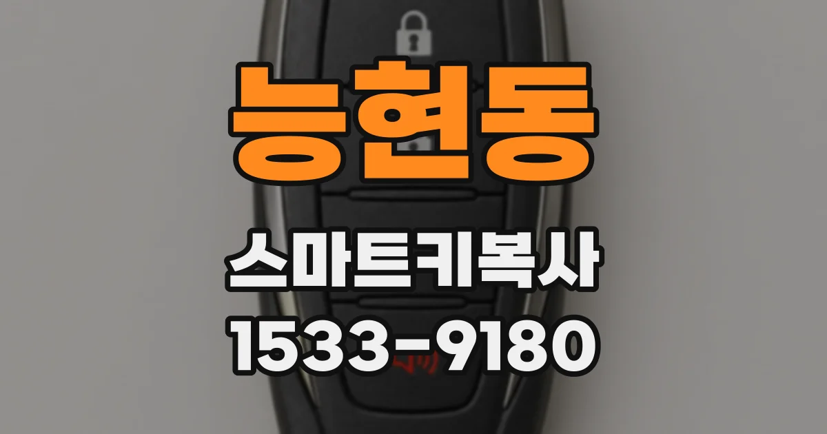 능현동 스마트키복사