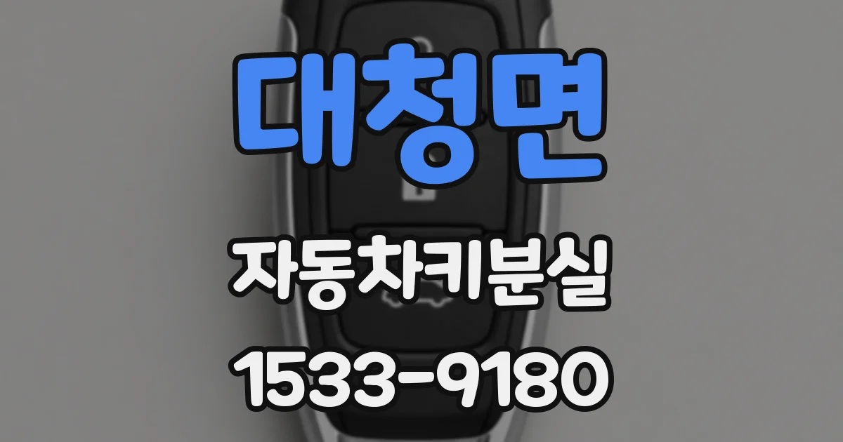 대청면 자동차키분실