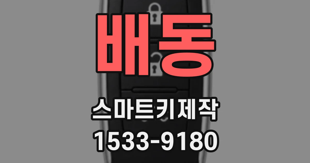 배동 스마트키제작