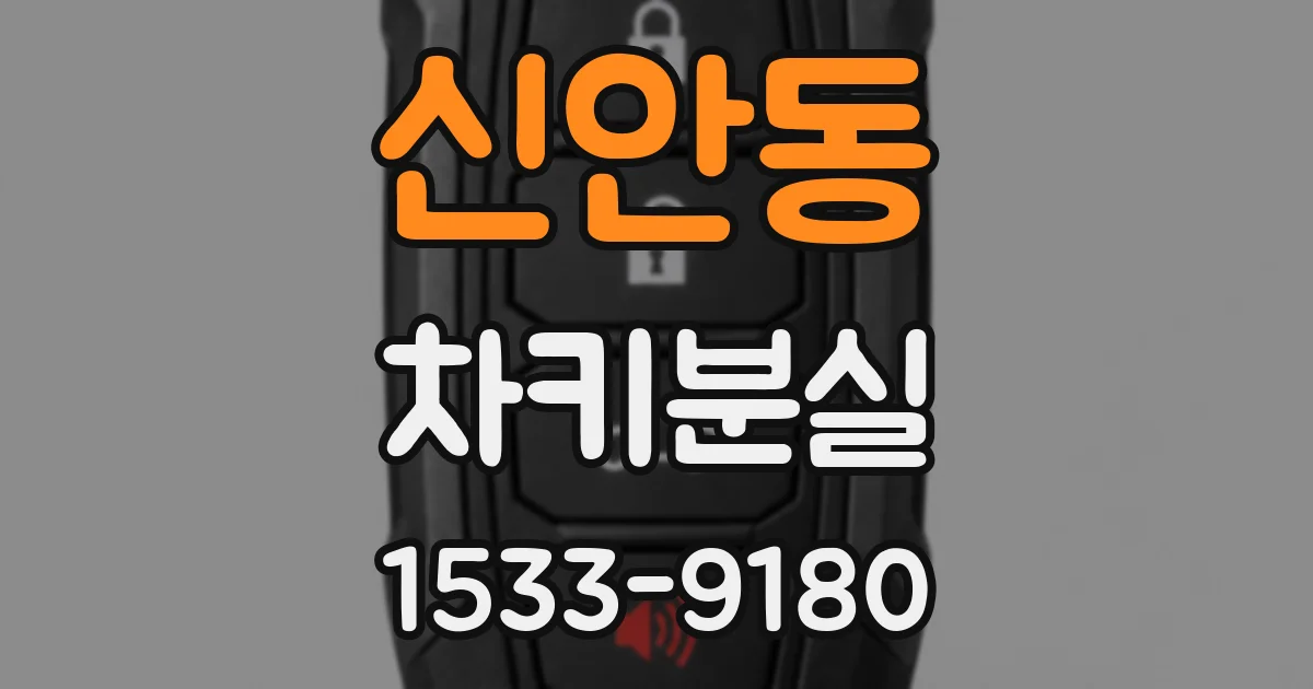 신안동 차키분실