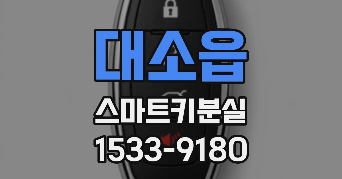 대소읍 스마트키분실