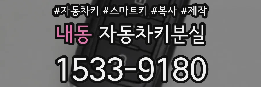 내동 자동차키분실