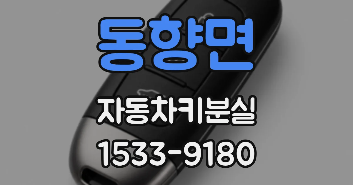 동향면 자동차키분실