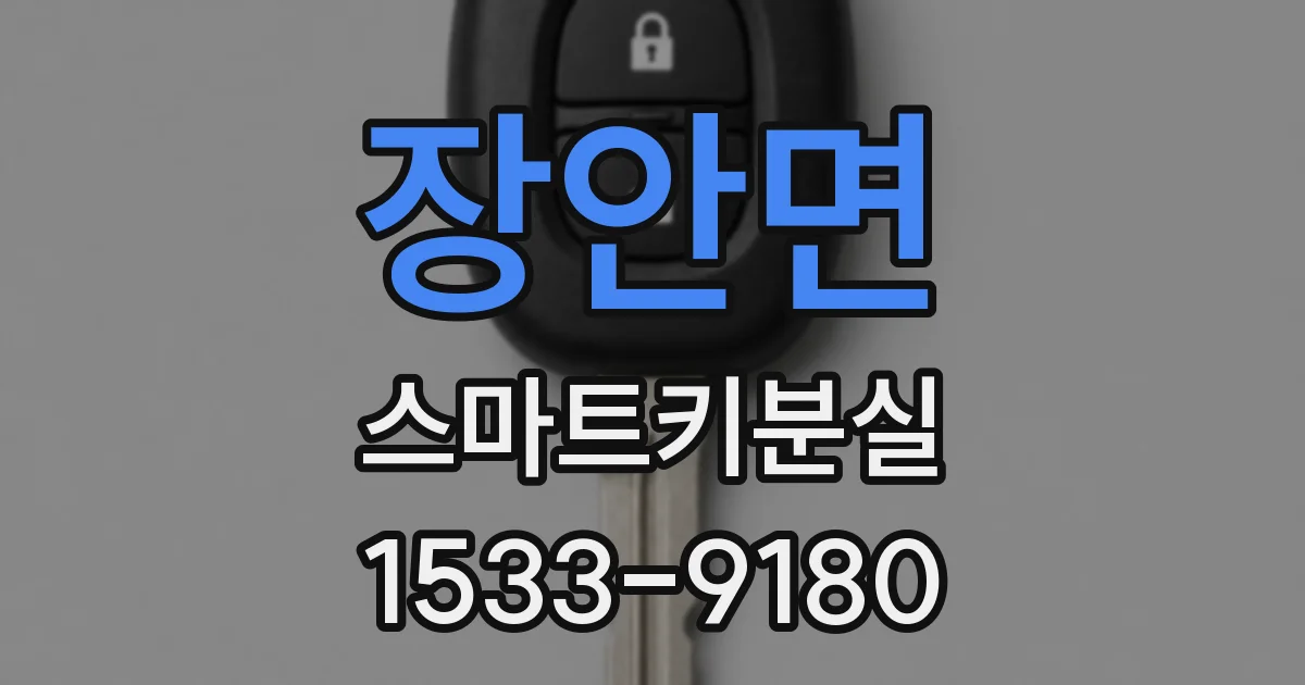장안면 스마트키분실