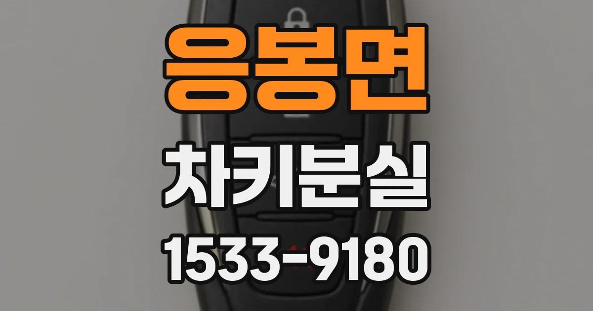 응봉면 차키분실