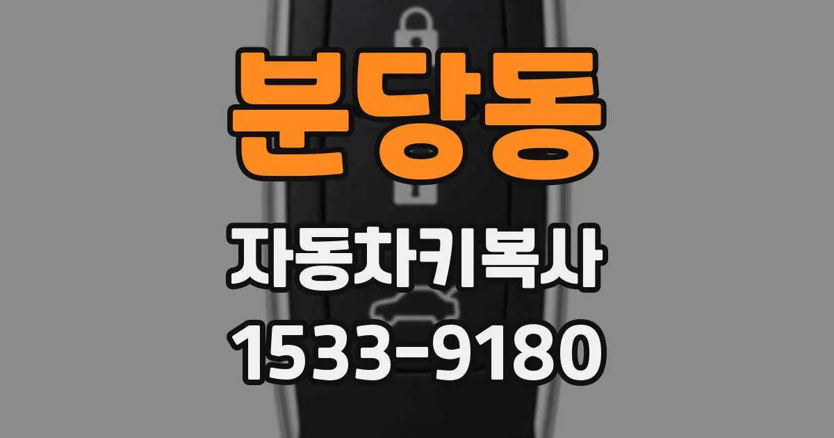 분당동 자동차키복사