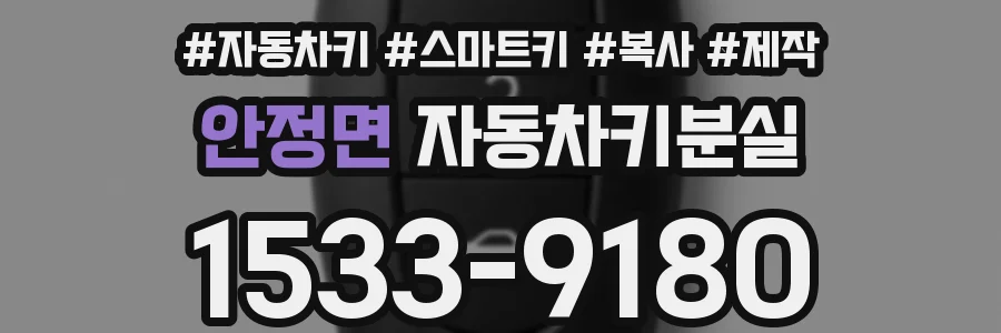 안정면 자동차키분실