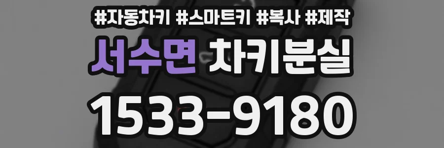서수면 차키분실