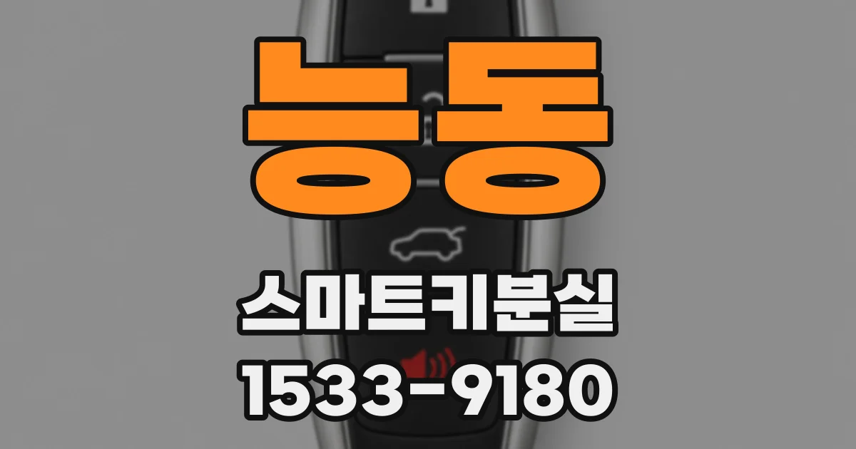 능동 스마트키분실