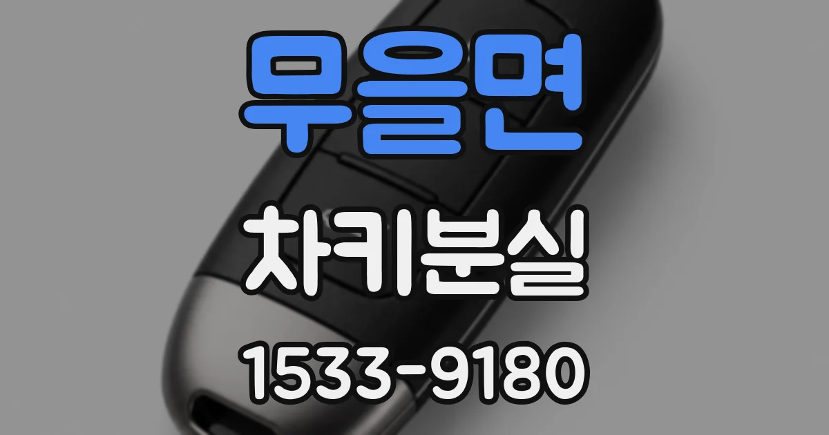 무을면 차키분실