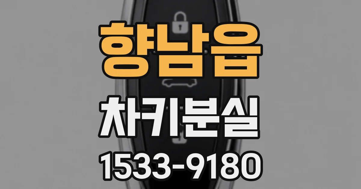 향남읍 차키분실