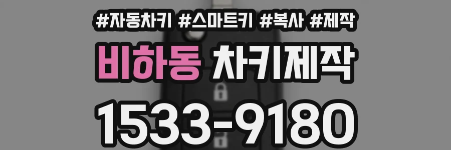 비하동 차키제작