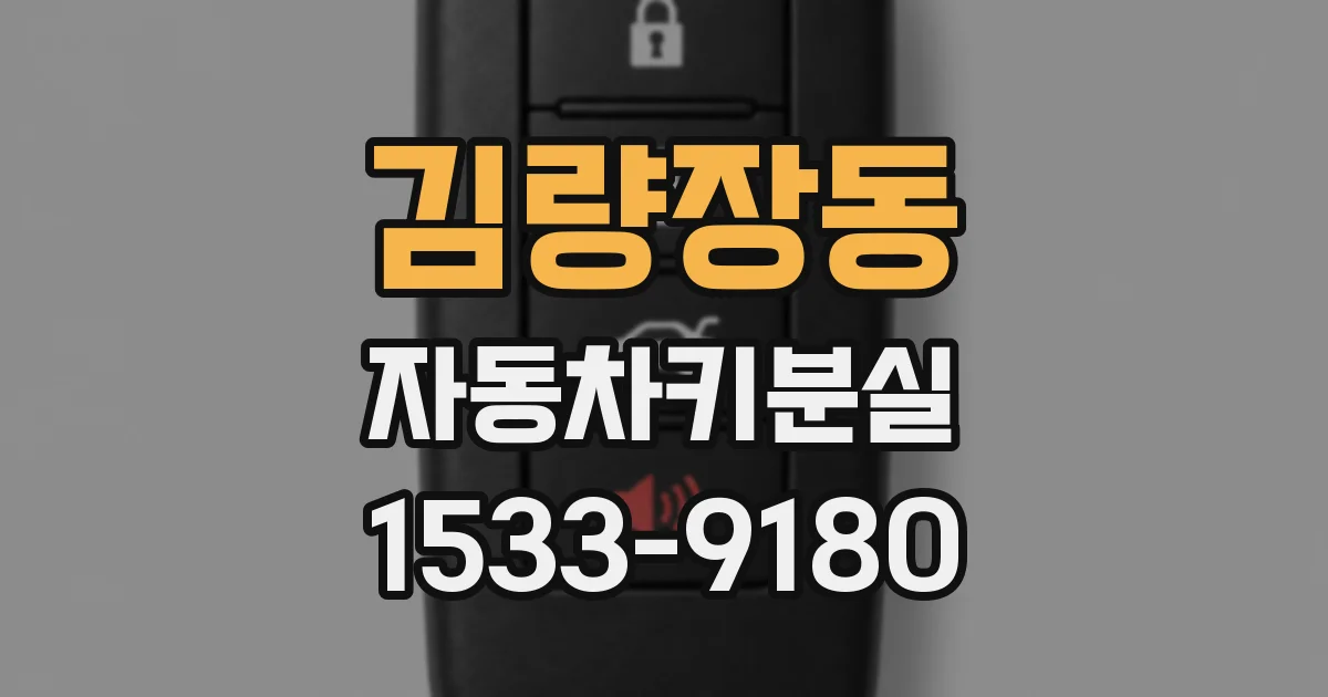 김량장동 자동차키분실