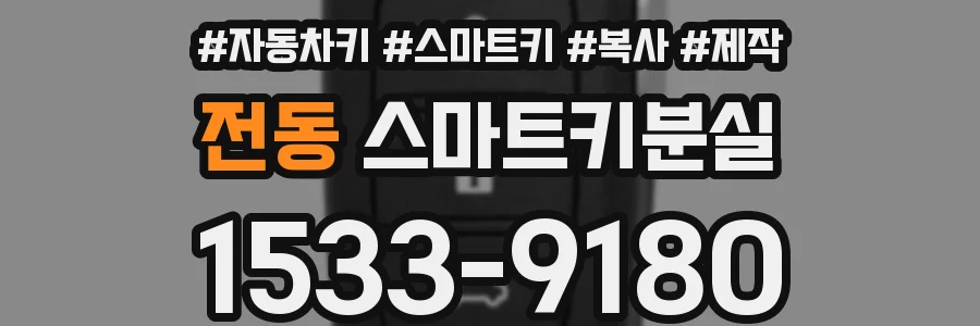 전동 스마트키분실