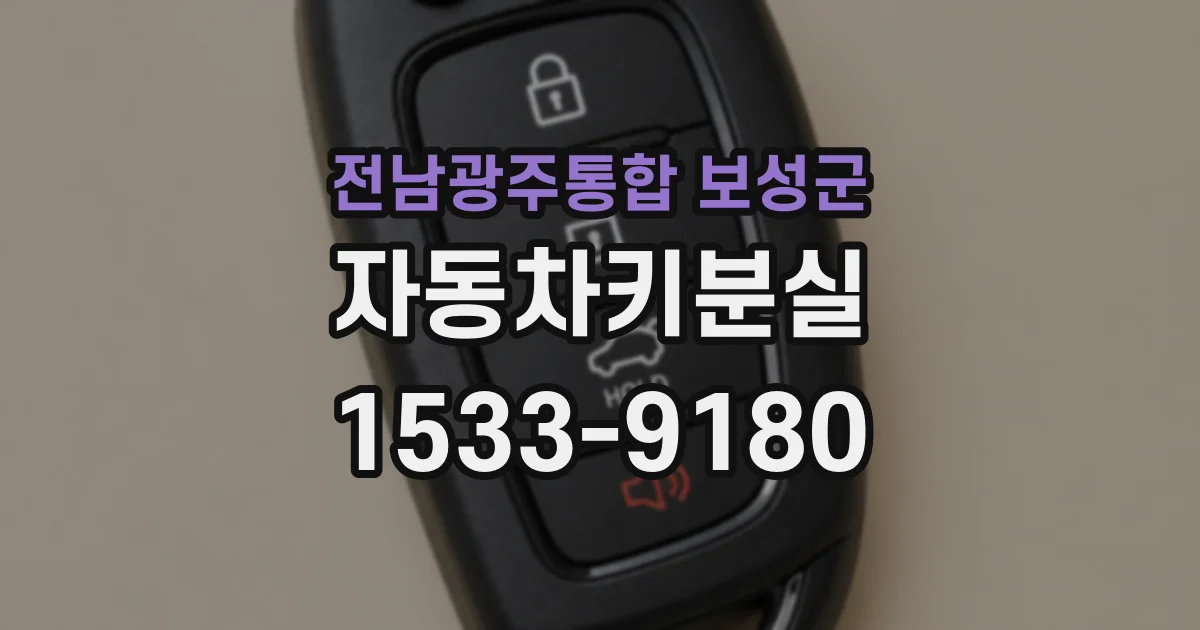 전남광주통합 보성군 자동차키분실