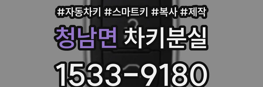 청남면 차키분실