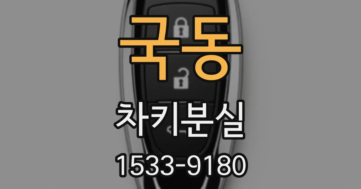 국동 차키분실