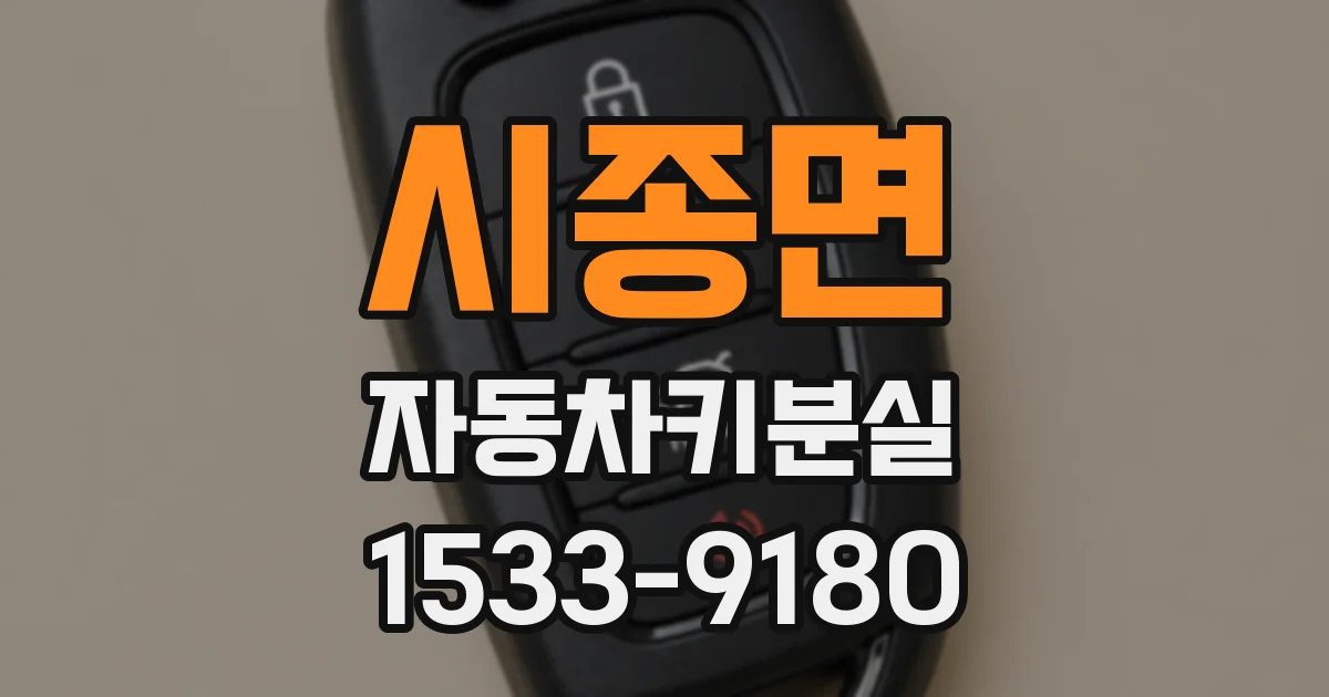 시종면 자동차키분실