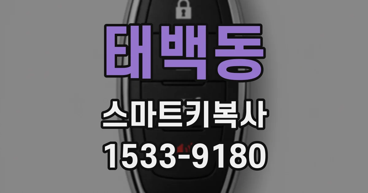 태백동 스마트키복사