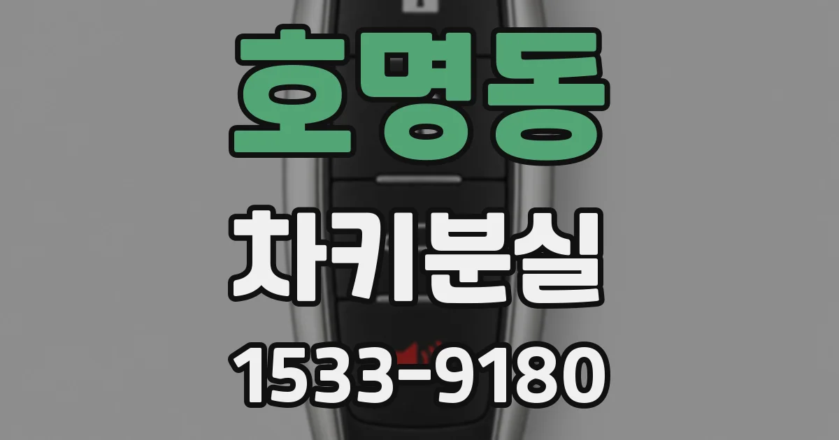 호명동 차키분실