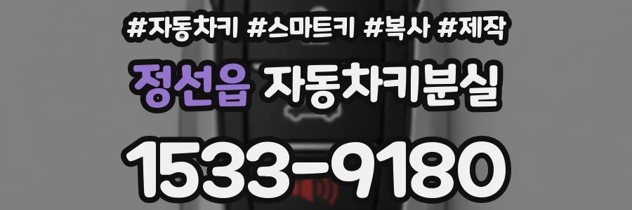 정선읍 자동차키분실